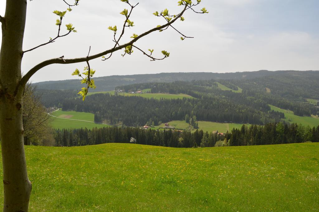 Gaestepension Edeltraud Hotel Hirschegg  Buitenkant foto